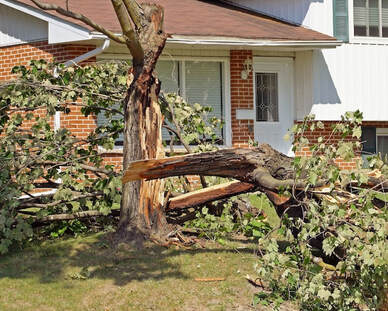 Storm tree damage in Kettering, Ohio
