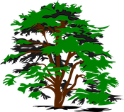Tree Service Dayton Logo