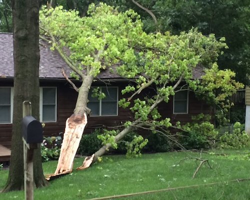 Storm Tree Damage Dayton OH